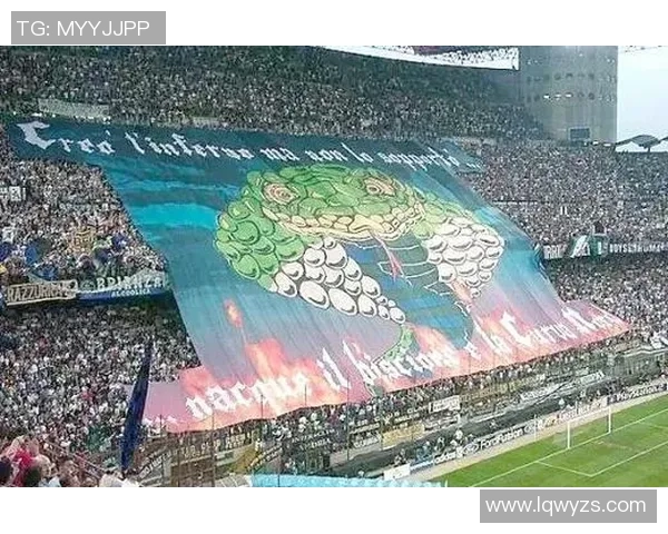 右手残疾依然耀眼足球场的传奇人物他的不屈精神激励了无数球迷